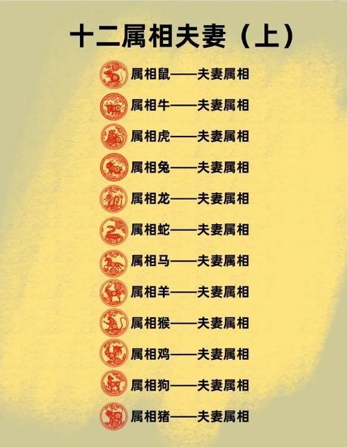 属牛和属猪婚配分析_猪和牛生肖配对_姓牛的女孩取名属猪好吗