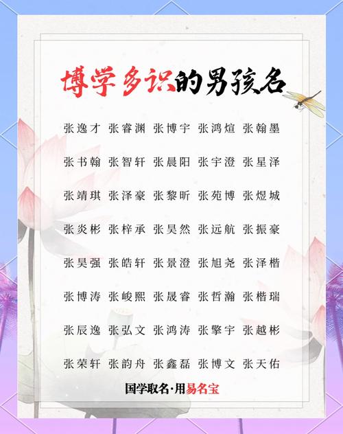 张姓男孩名字推荐_孩子取名男孩大全_张姓男孩起名大全