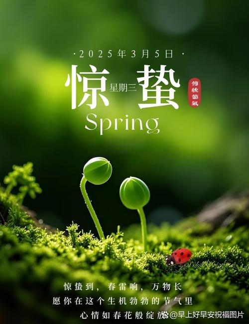 如何选择适合的名字来补充火元素_2025年惊蛰节气女宝宝五行缺火寓意分析_惊蛰出生的女孩子取名