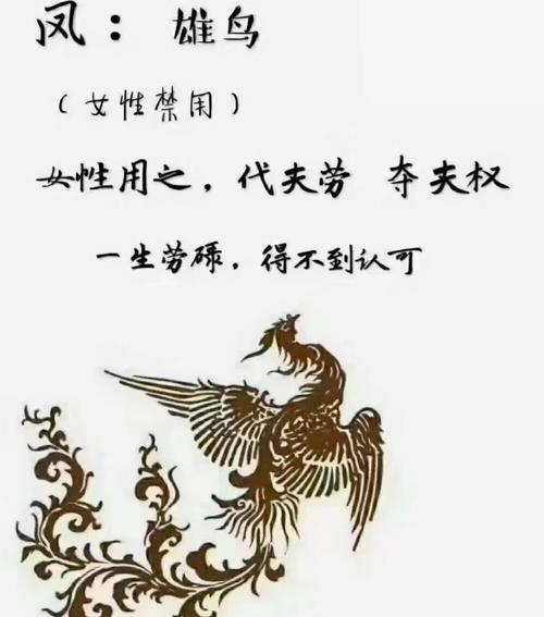 张多凤名字含义解析_张多凤名字寓意详解_姓张取名带凤字的女孩