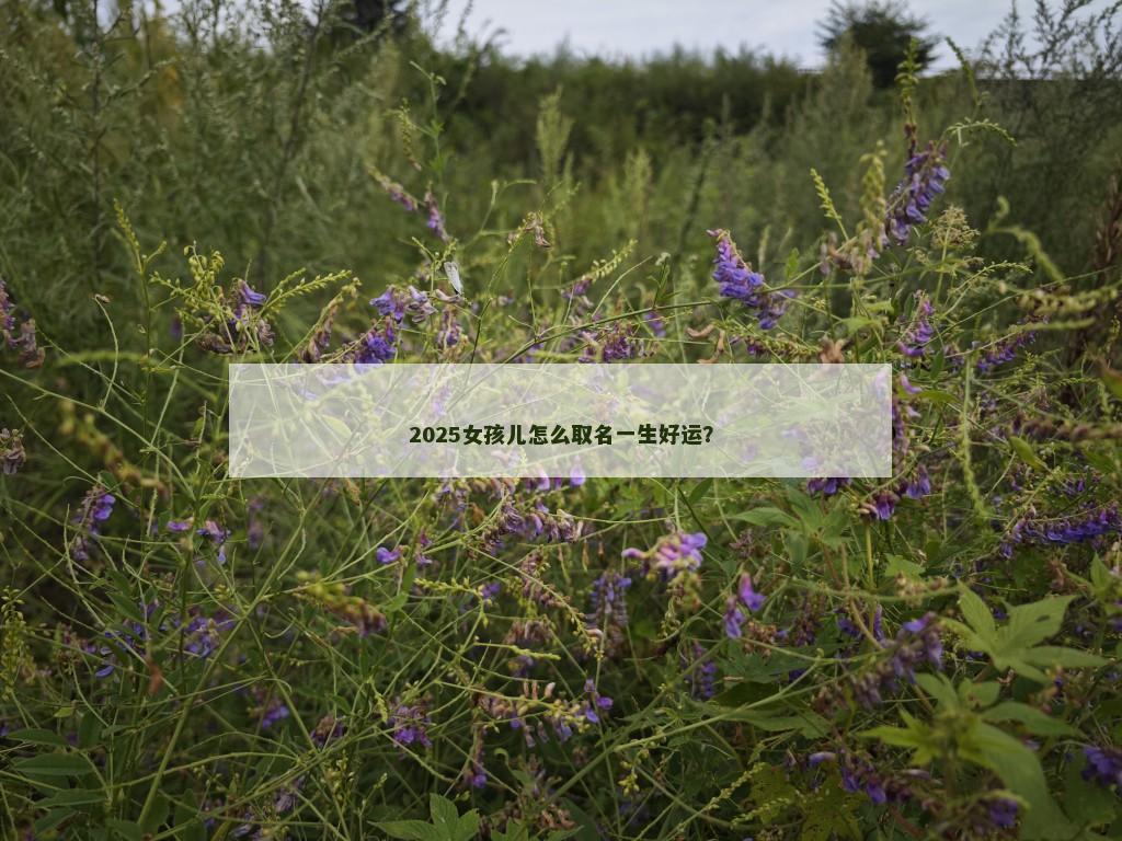 2025女孩儿怎么取名一生好运?