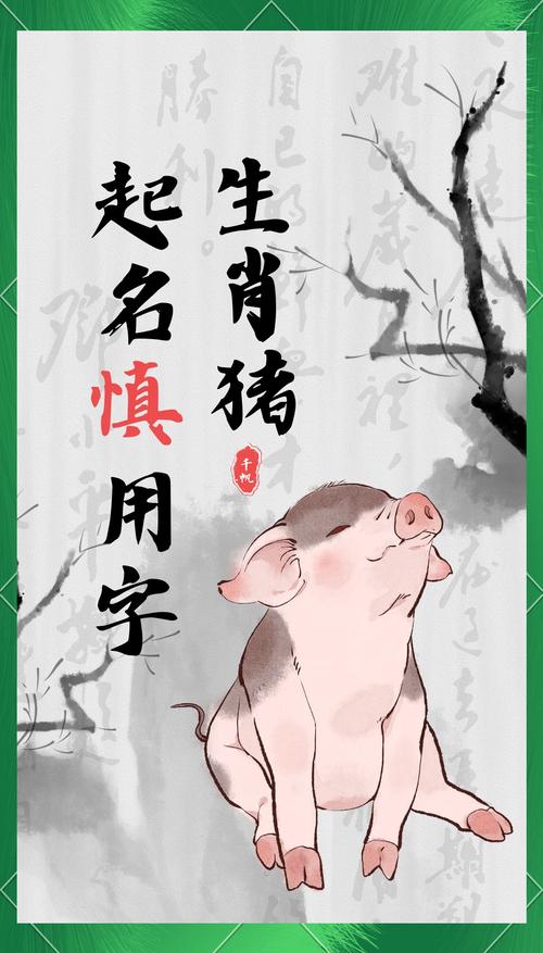 农历五月属猪宝宝起名_五行属猪宝宝起名推荐_张姓男孩取名字属猪的