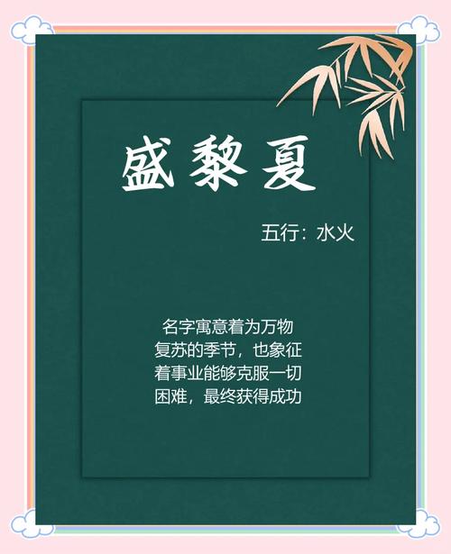 姓盛的女孩阳光活泼的名字推荐_锦迪取名女孩名字大全_龙盛姓女宝宝适合的名字