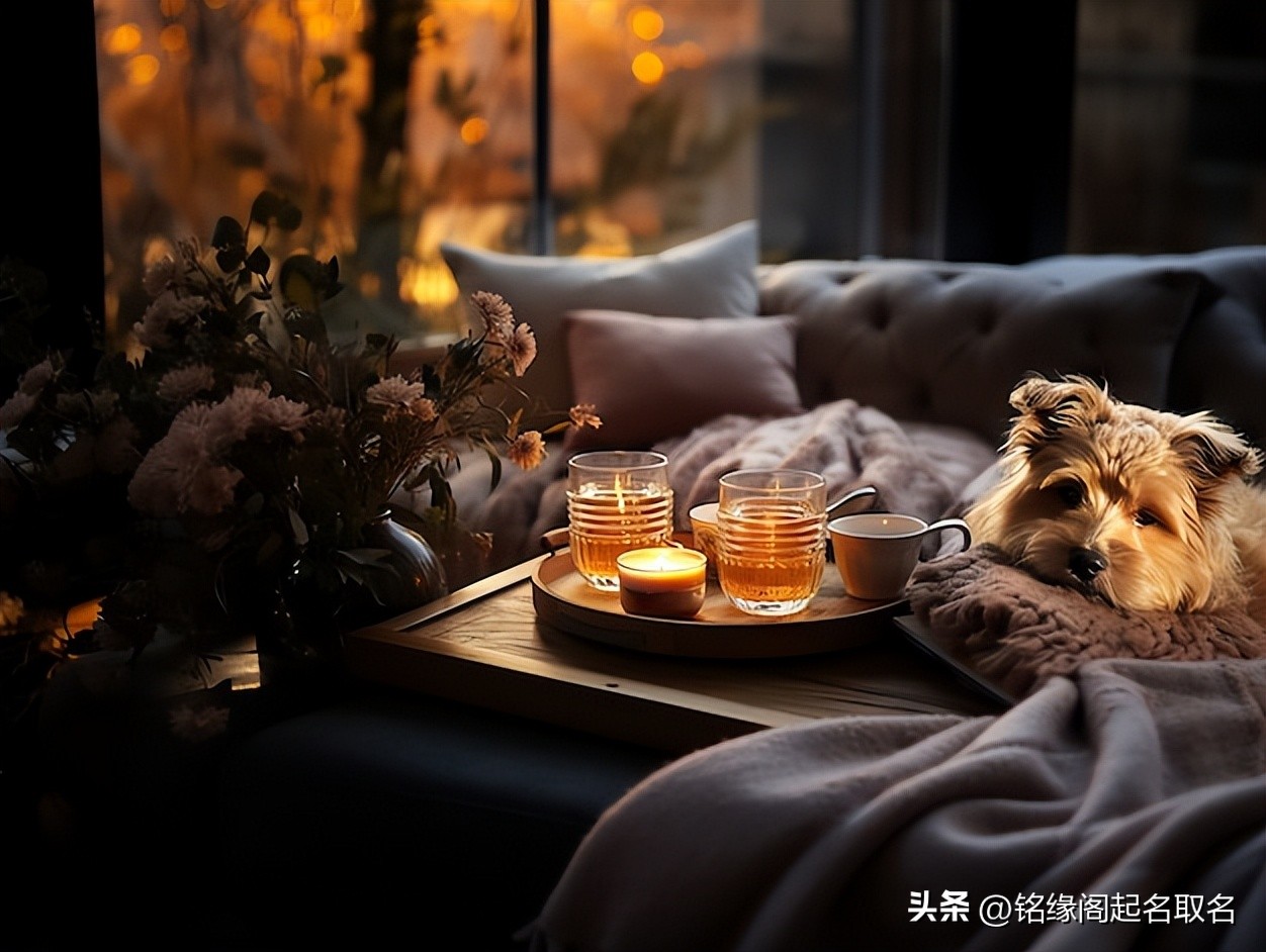 姓信男孩取名大全_宝宝名字寓意 温暖的名字选择 宝宝起名技巧