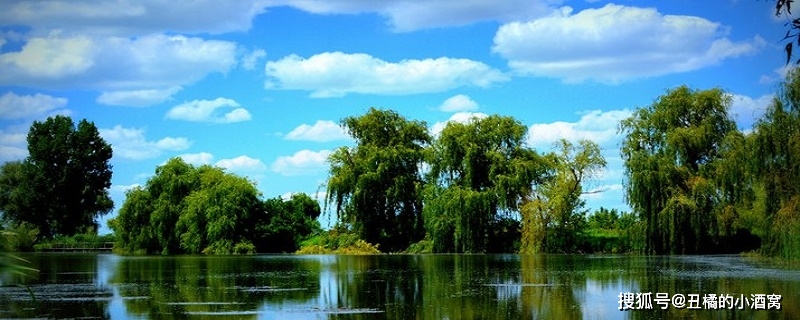 根据父母期盼取名张姓男孩_张姓男孩顺口好听名字_取名男孩张顺()