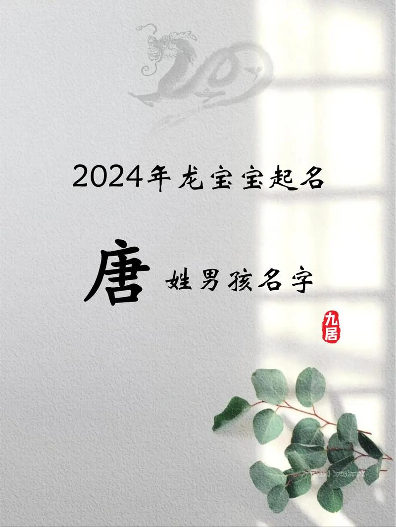 唐姓缺水男孩取名_唐姓男孩吉祥名字_唐姓男宝宝取名推荐