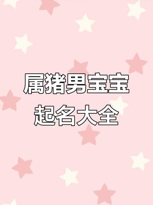 猪年宝宝起名男孩名字推荐_姓孙男孩取名属鼠的字_猪年宝宝起名男孩名字大全