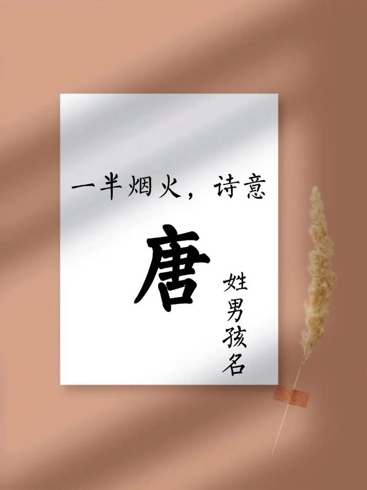 唐姓男孩好听名字推荐_唐姓男孩缺水取名_唐姓缺水男孩取名