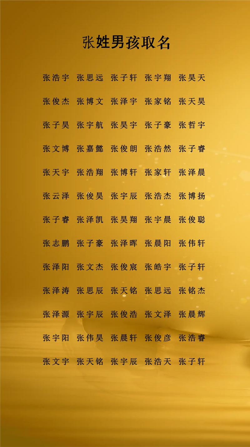 张姓双胞胎男孩名字寓意才华_张姓双胞胎男孩朗字取名_张姓双胞胎男孩名字好听有才华