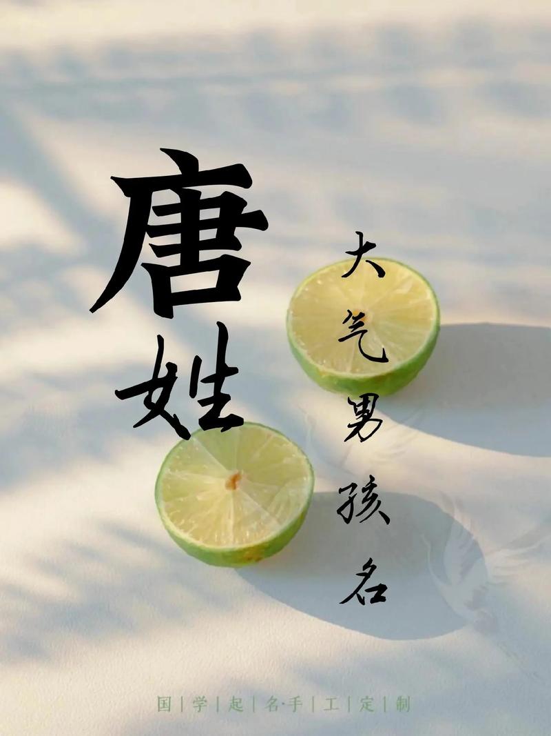 唐姓男孩补金取名_金属性取名原则_五行补金取名方法_唐姓男孩五行缺水取名字