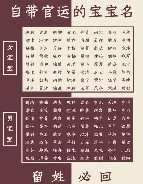 男孩取名字寓意贵气洋气_唐诗楚辞取名_为娃起名