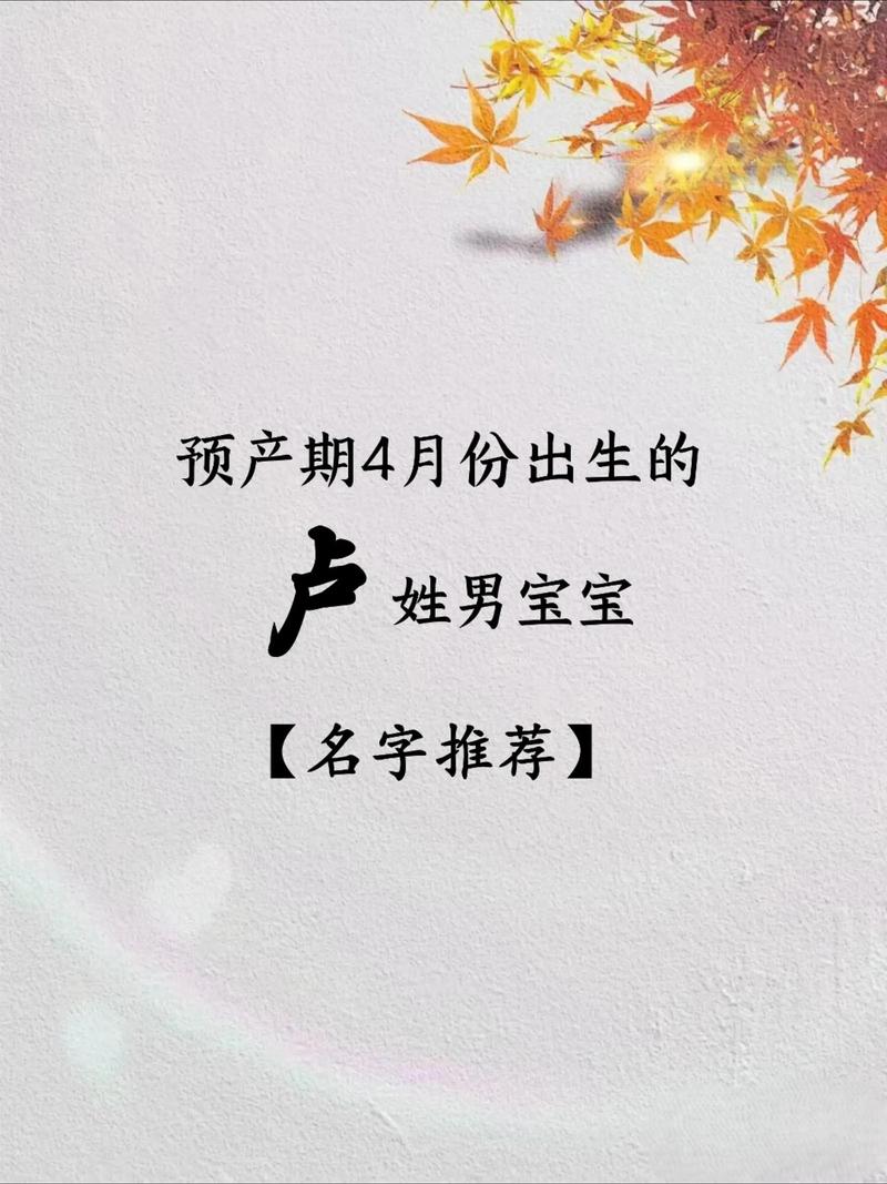 雷姓取名男孩五行缺水_取姓卢男孩名字_带祈字卢姓男孩名字推荐