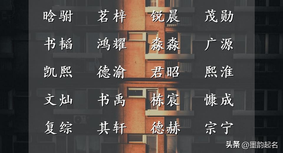 诗意名字寓意_清新雅致女子名_姚女孩取名