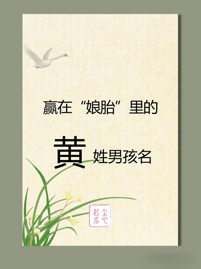黄姓男孩名字推荐 2025年 _黄姓男宝宝名字寓意 2025年取名 _黄姓取名男孩