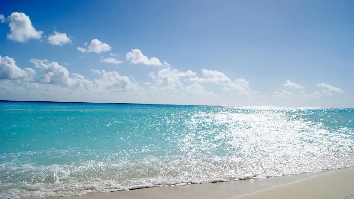 取名字女孩英气_出自诗经的女孩名字_诗经女宝宝名