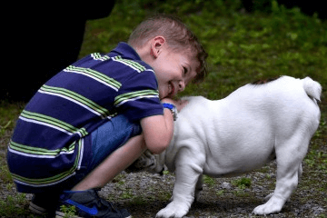 属猪缺木的男孩名字