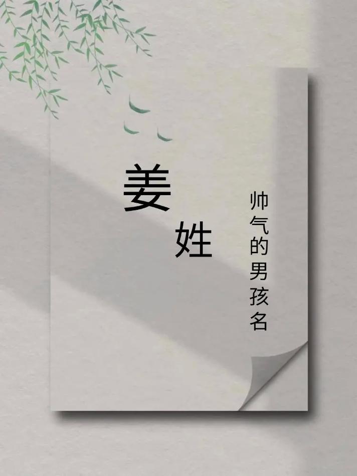 姜姓男孩取名带轩字的字_姜姓男孩五行好名字_姜姓男宝宝2024年龙年名字推荐