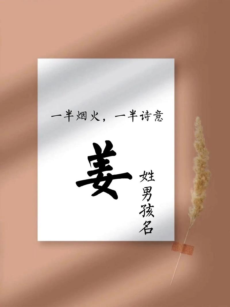 姜姓男孩取名带轩字的字_姜姓男宝宝2024年龙年名字推荐_姜姓男孩五行好名字