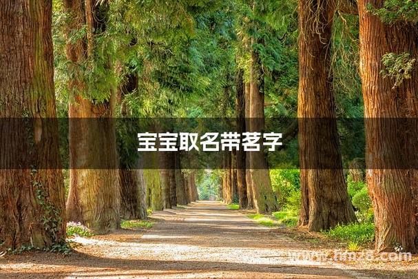 女孩名字用茗字寓意 清香优雅女孩名字 茗字女孩名字好听推荐_玡字取名寓意女孩