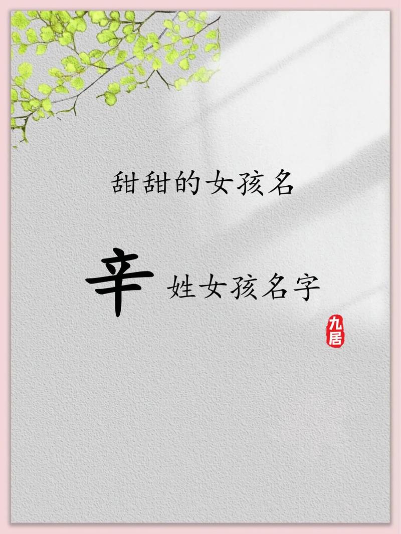 辛姓女孩鼠年创意名字_辛女孩取名_鼠年辛姓女孩名字大全