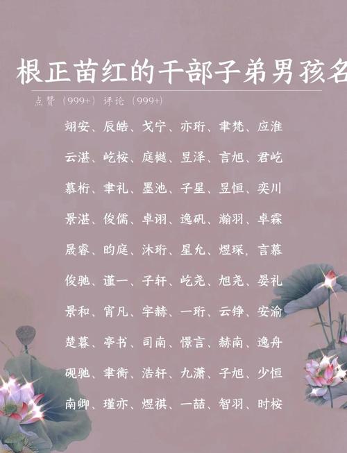 取名寓意财运顺兴_男孩取名亨_取名寓意仕途稳进