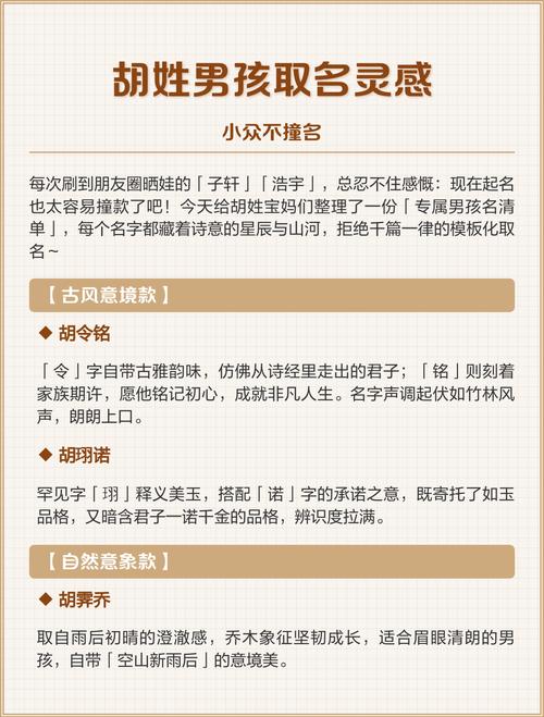 胡姓男孩名字寓意前程远大_胡洪取名字男孩_胡姓男孩起名推荐