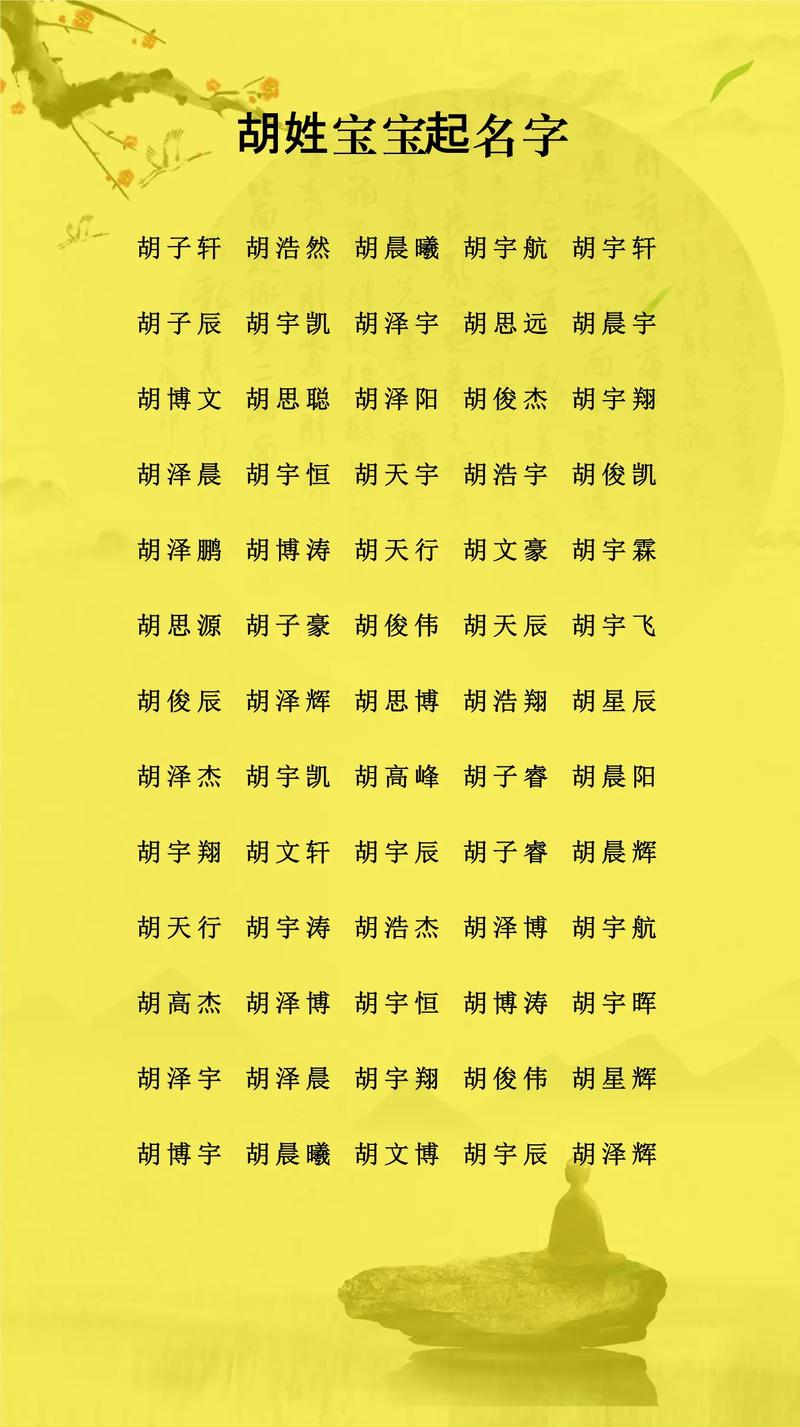 胡洪取名字男孩_胡姓男孩起名推荐_胡姓男孩起名技巧