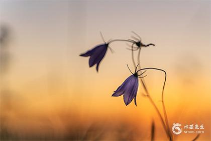 缺金缺木男孩取名_八字缺木缺金男孩名字_五行平衡取名技巧